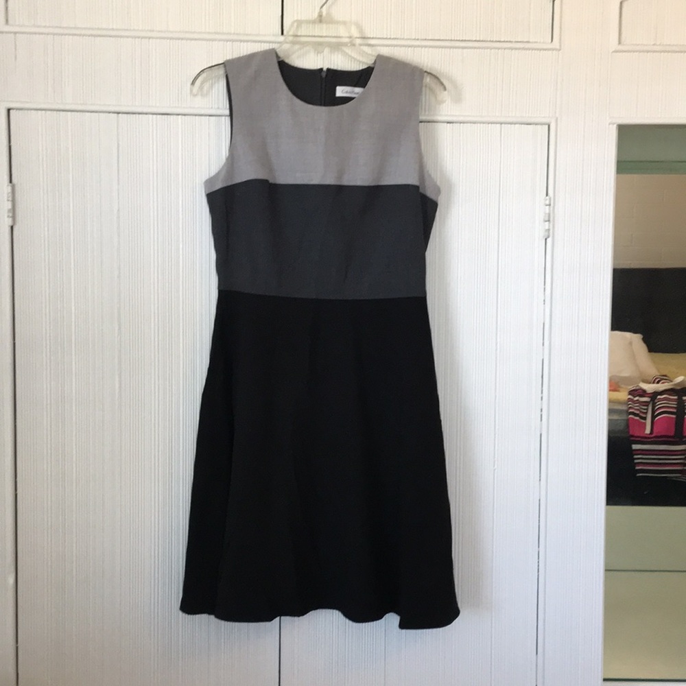Calvin Klein Color Blocked Dress